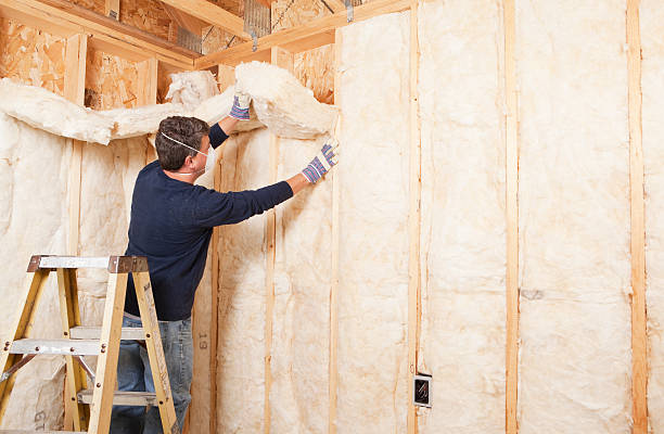 Best Crawl Space Insulation  in Higganum, CT